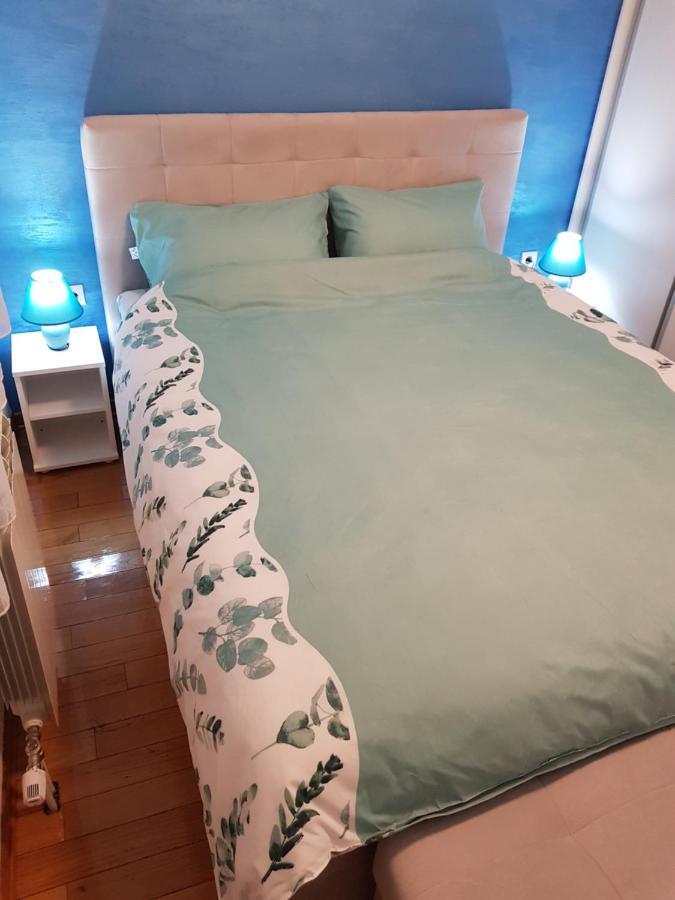 Apartman Kej Blue Free Parking Kraljevo Buitenkant foto